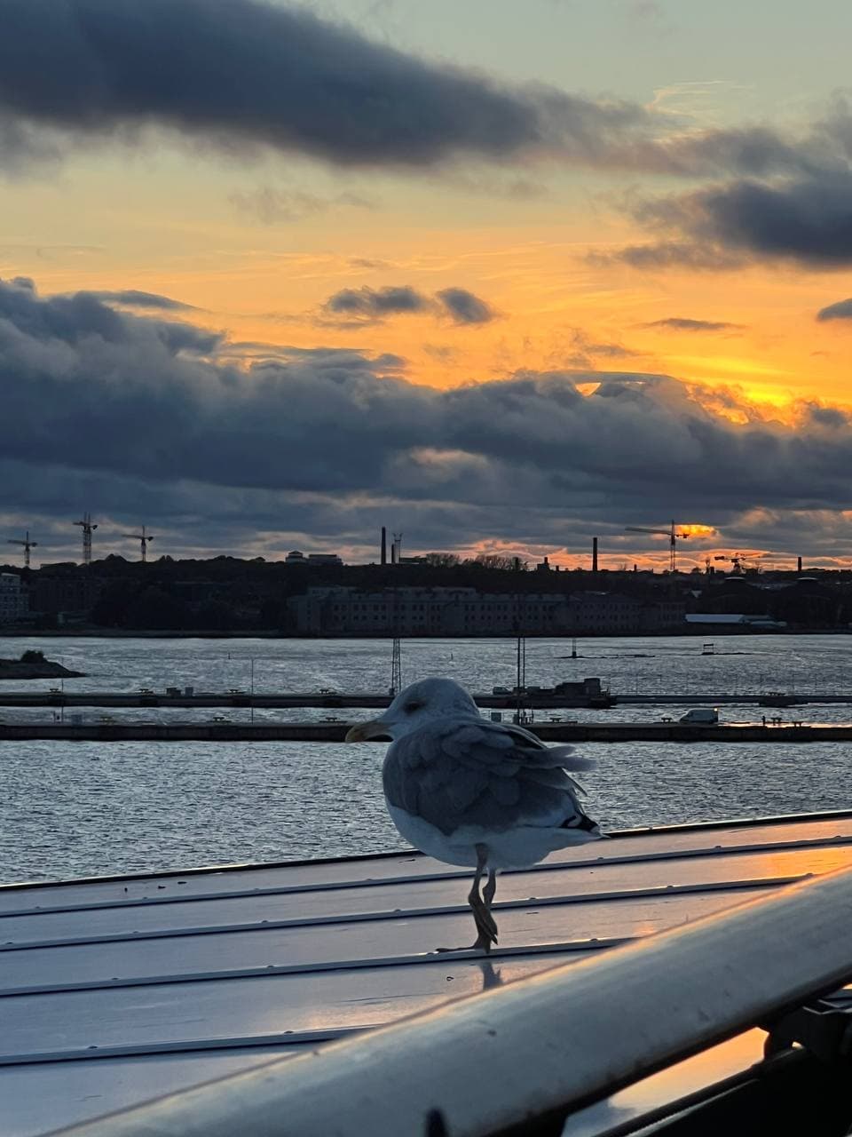 avria's trip to helsinki, tallinn and the UK pnwcxt