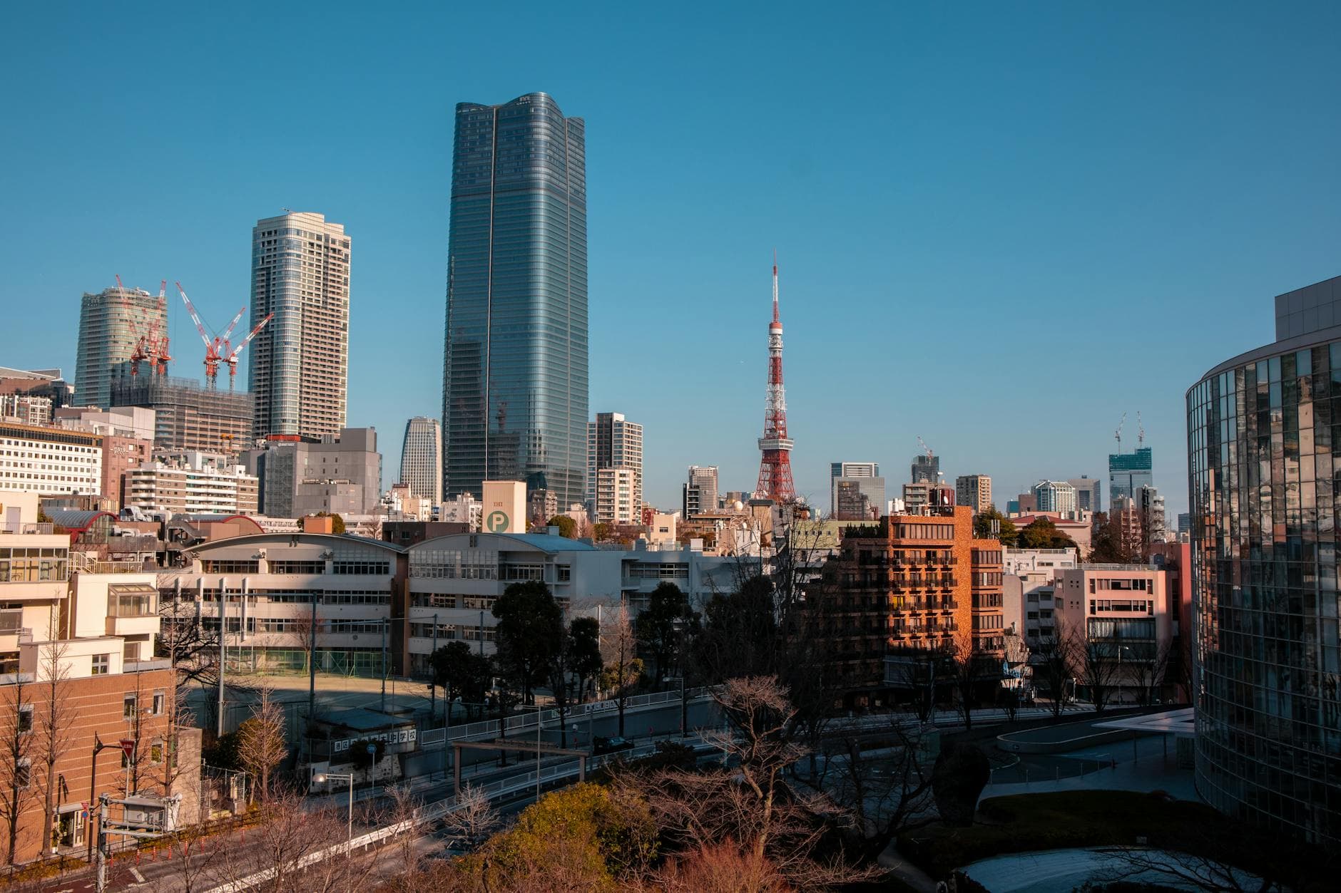 Hidden Gems in Tokyo for First Timers w76vgf
